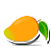 Mango Scheiben in leichtem Sirup